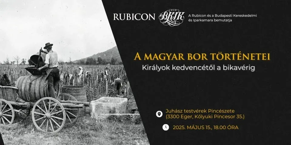 A magyar bor történetei – Királyok kedvencétől a bikavérig - kiemelt kép