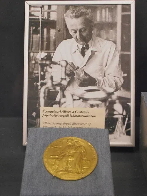 500px-Nobel_Szent-Gyorgyi.webp