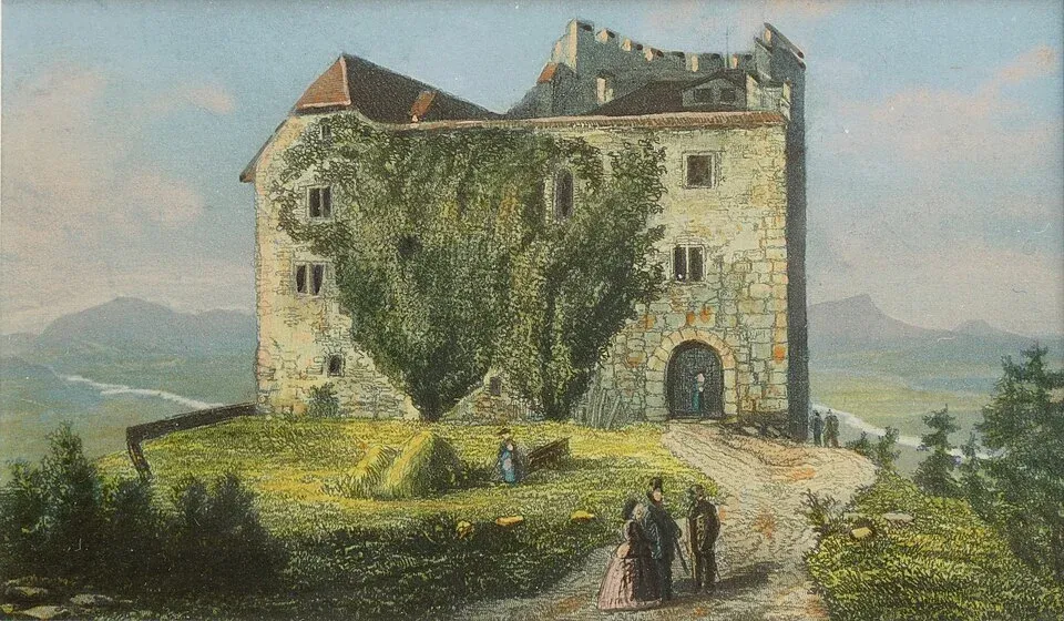960px-Johann_Heinrich_Müller,_1825-1894_F5_Habsburg_2.webp