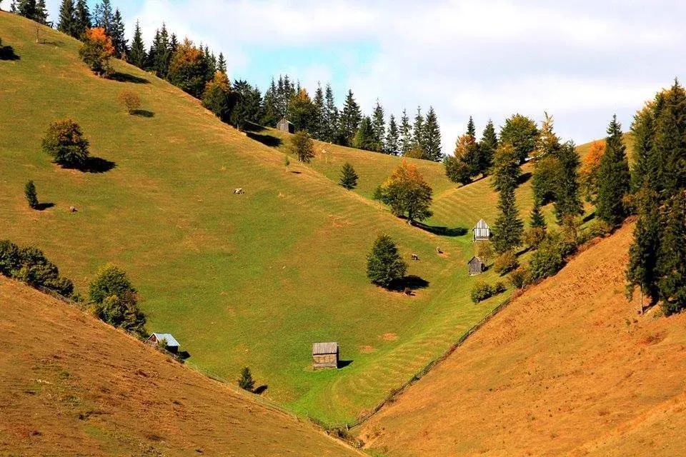 Kép: Fodor-Istvan-2..webp