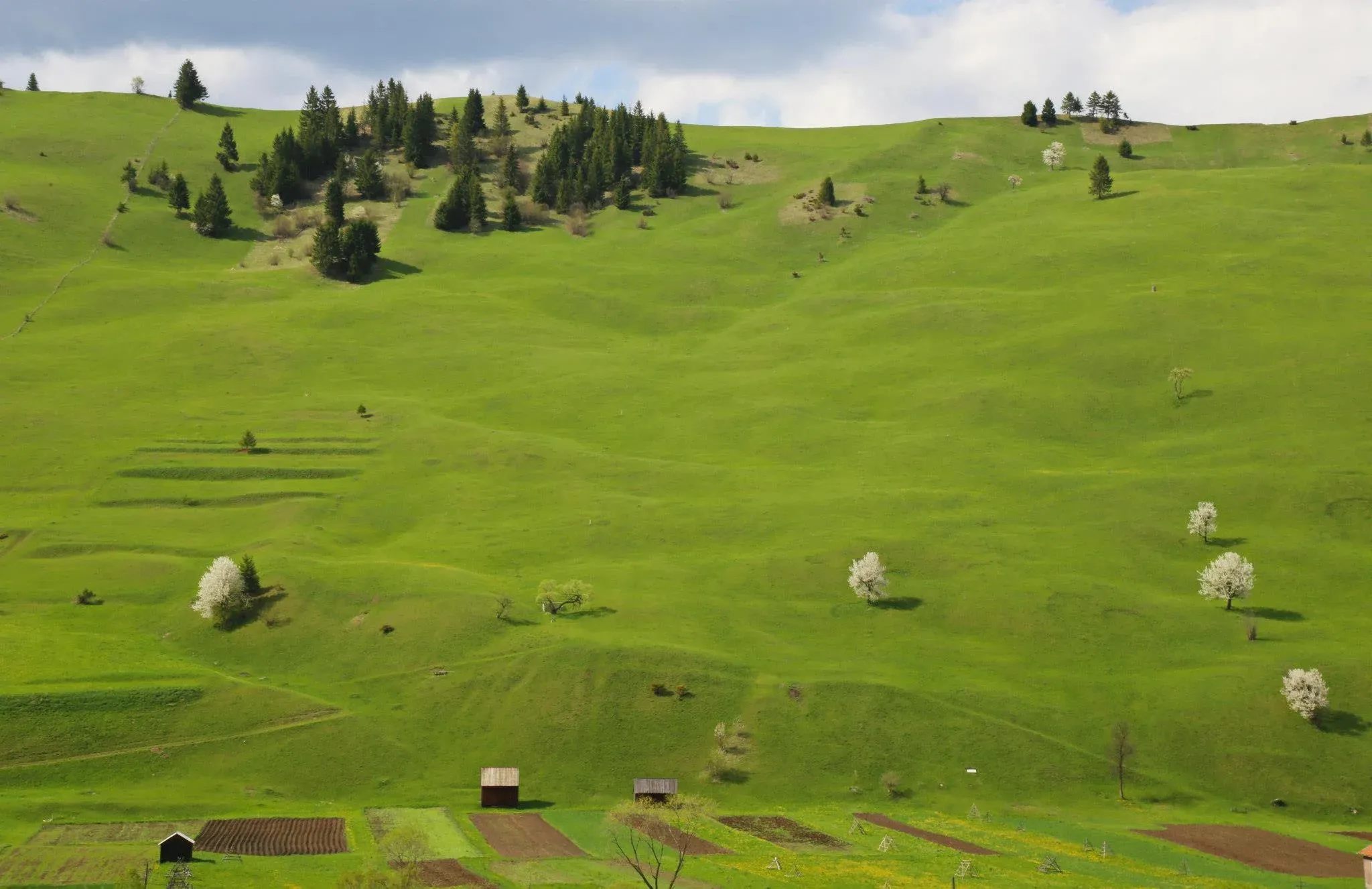 Kép: Fodor-Istvan-4..webp