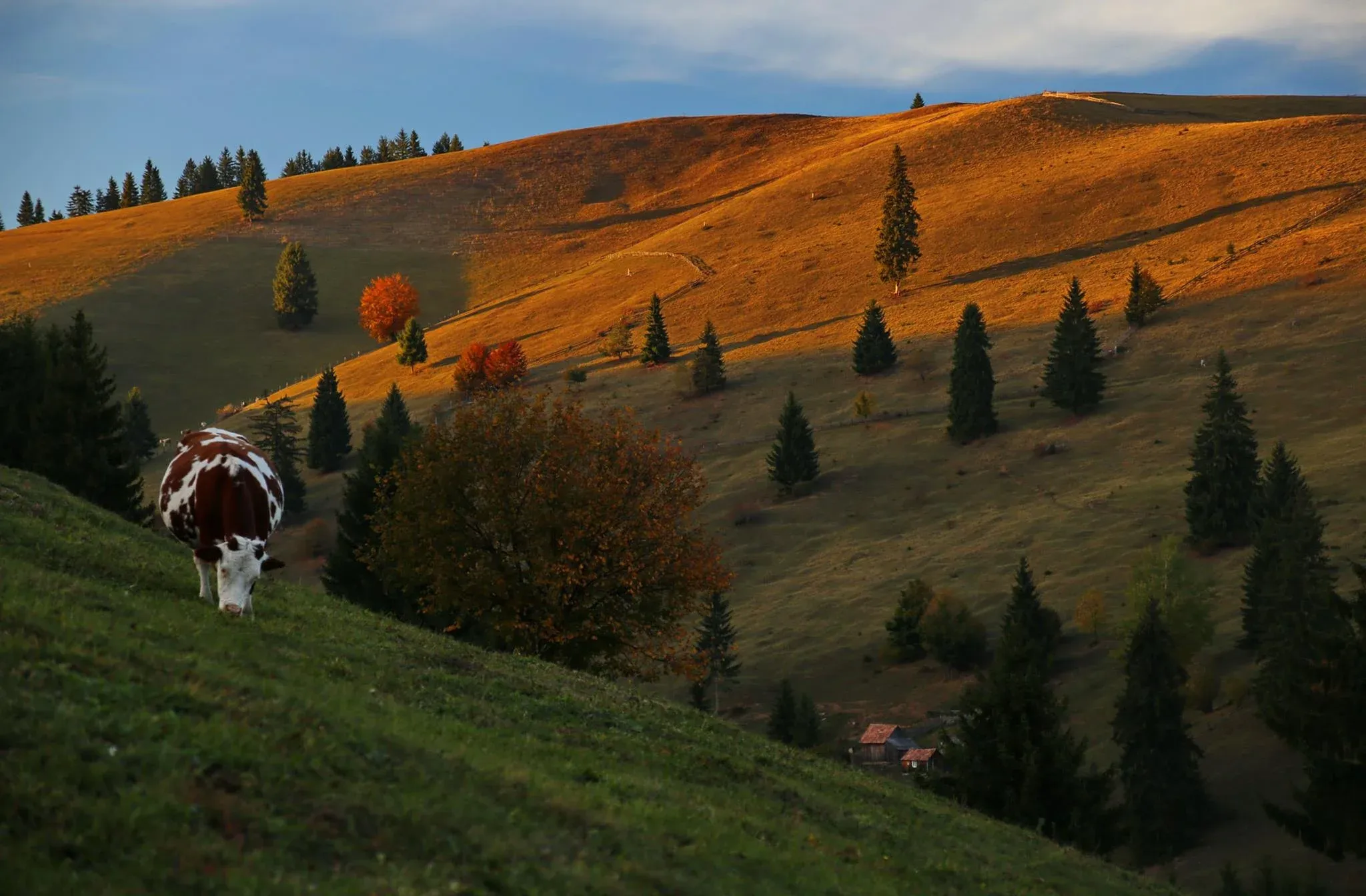 Kép: Fodor-Istvan-5..webp