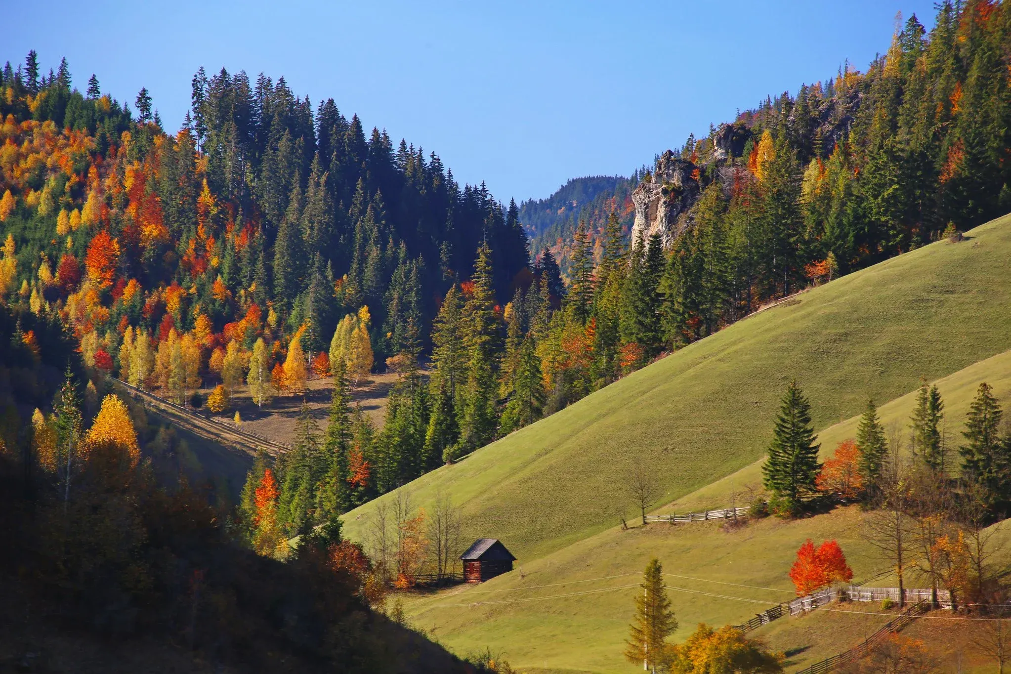 Kép: Fodor-Istvan-6..webp