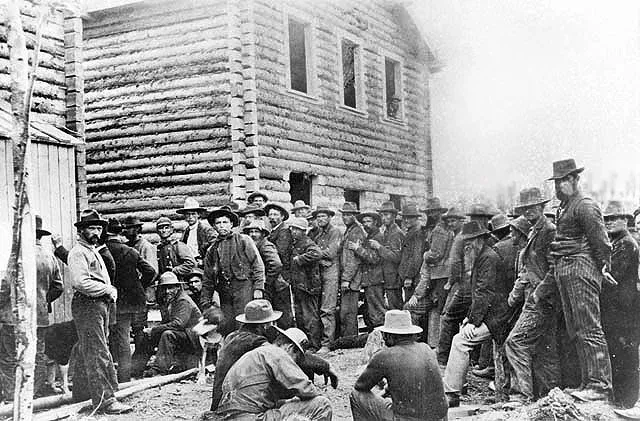 A kaliforniai aranyláz - kiemelt kép