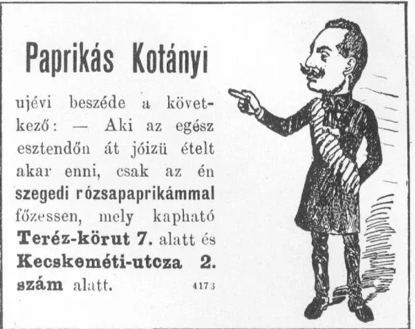 Kép: Paprikas_Kotanyi-600x476.webp