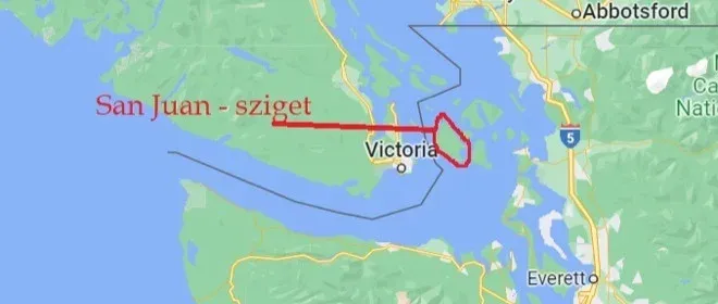 Majdnem háború egy disznó miatt - kiemelt kép