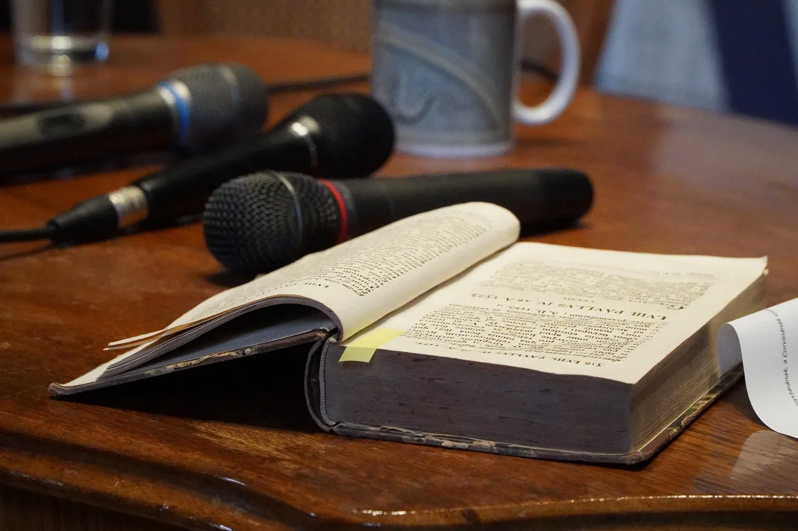 Tomori Pál érsekre, hadvezérre és a mohácsi vészre emlékeztek Kalocsán - kiemelt kép