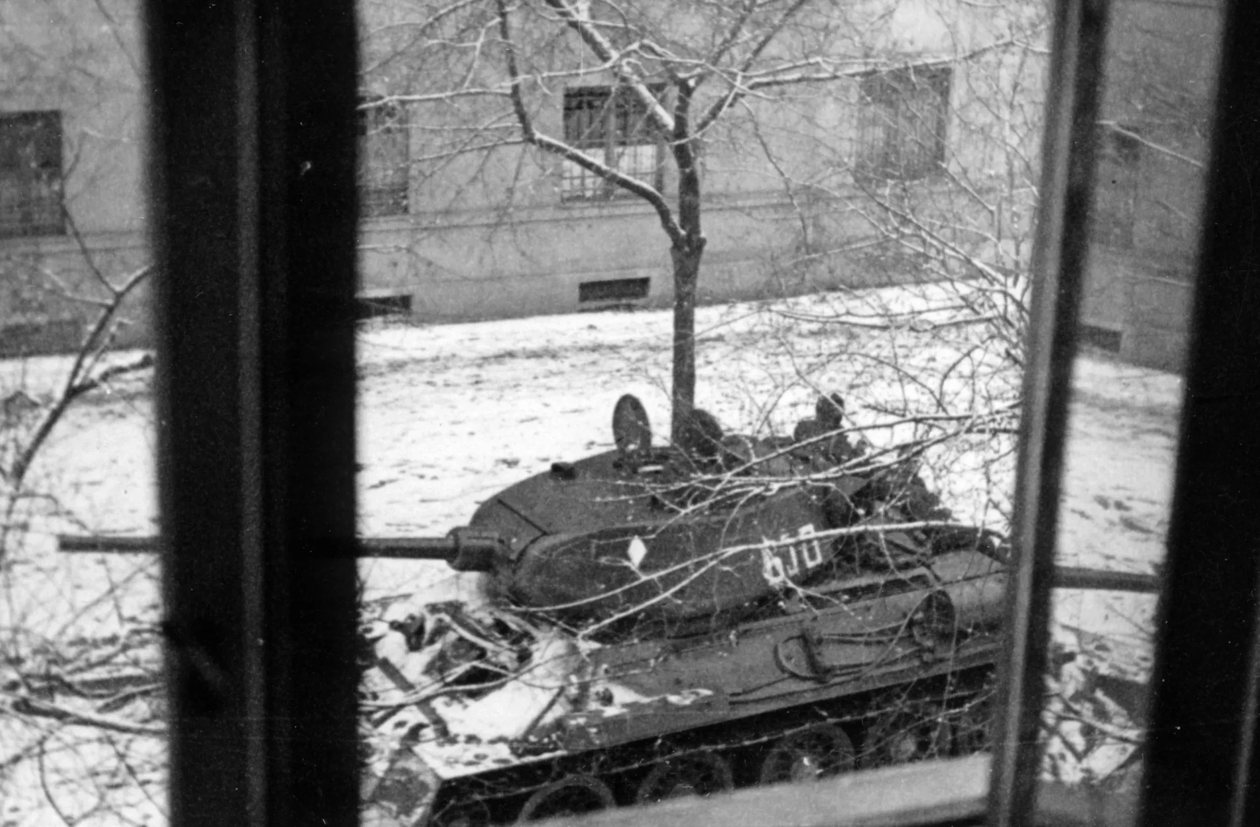 Gondolatok a forradalomról - kiemelt kép