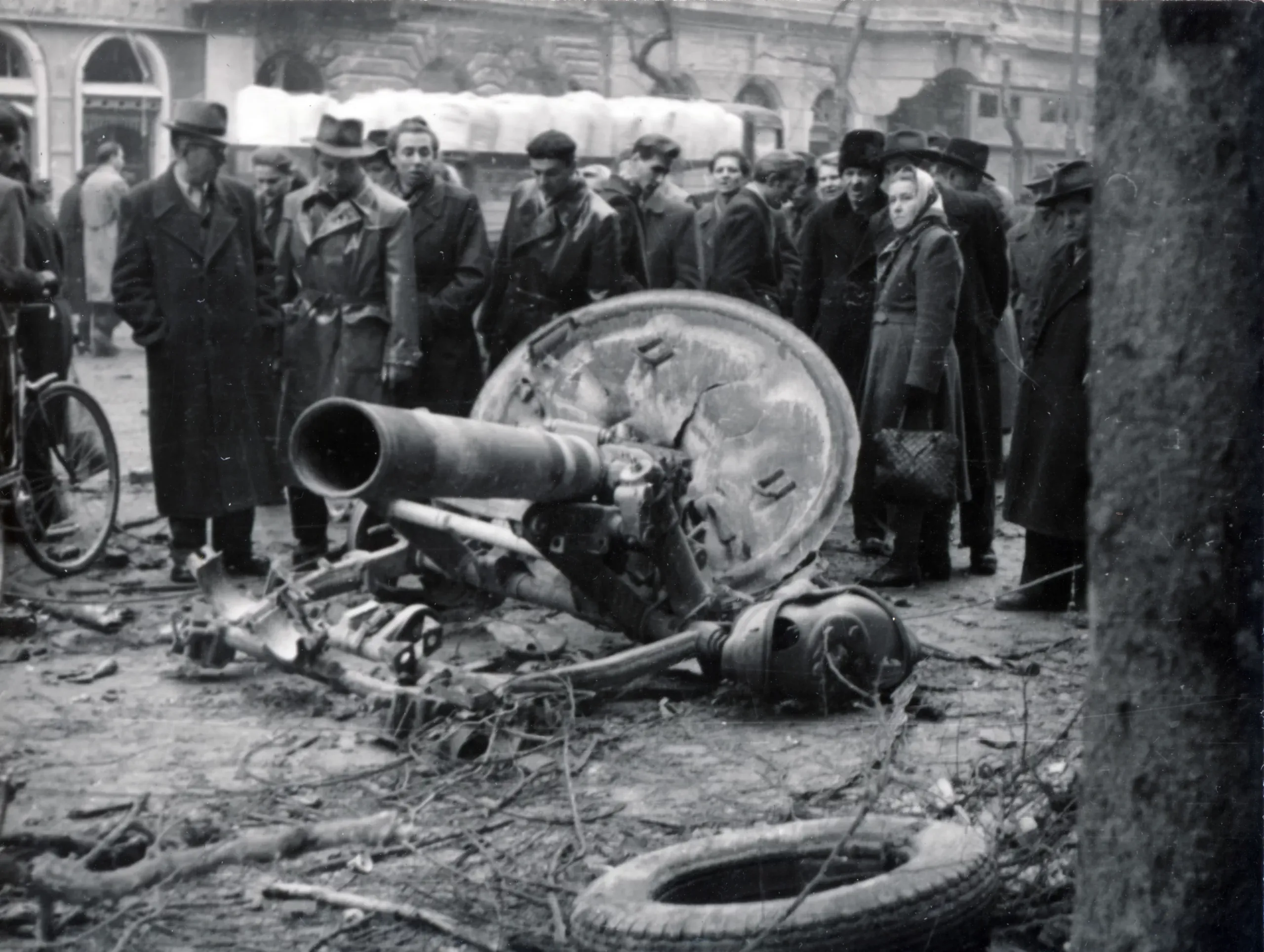 Gondolatok a forradalomról - kiemelt kép